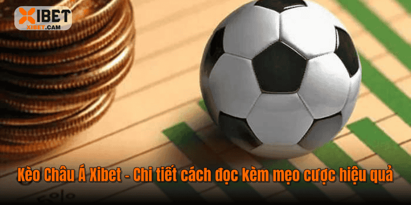 Kèo Châu Á Xibet – Chi tiết cách đọc kèm mẹo cược hiệu quả