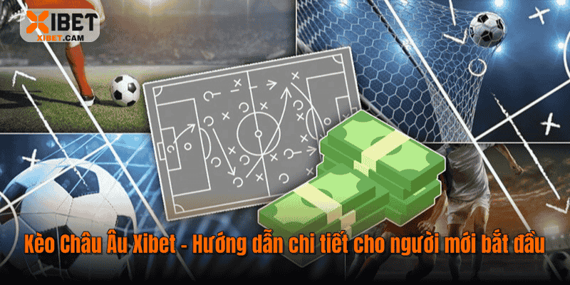 Kèo Châu Âu Xibet – Hướng Dẫn Chi Tiết Cho Người Mới Bắt Đầu
