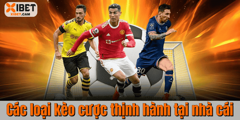 Các loại kèo cược thịnh hành tại nhà cái