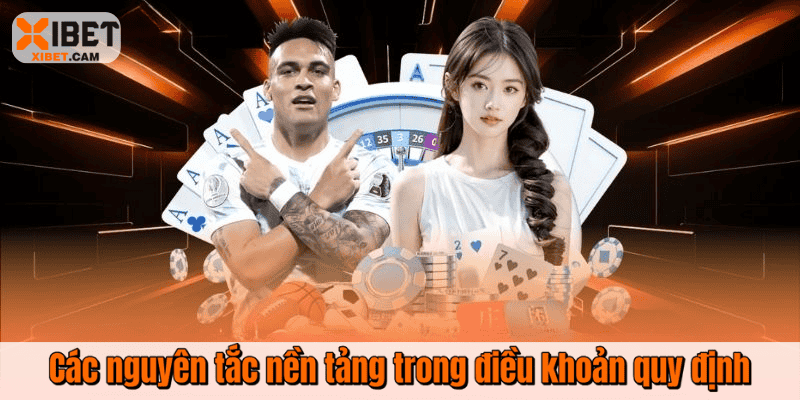 Các nguyên tắc nền tảng trong điều khoản quy định