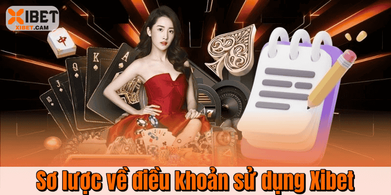 Sơ lược về điều khoản sử dụng Xibet