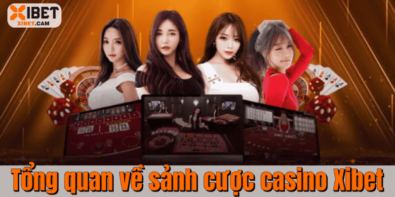Tổng quan về sảnh cược casino Xibet